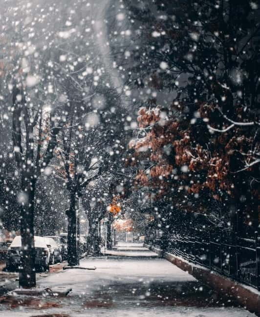 Tirana to Korcë by Eden: Private day trip - Why this tour is a smart choice