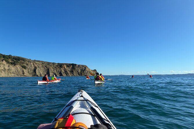 Tiritiri Matangi Sea Kayak Tour - An In-Depth Look at the Tiritiri Matangi Sea Kayak Tour