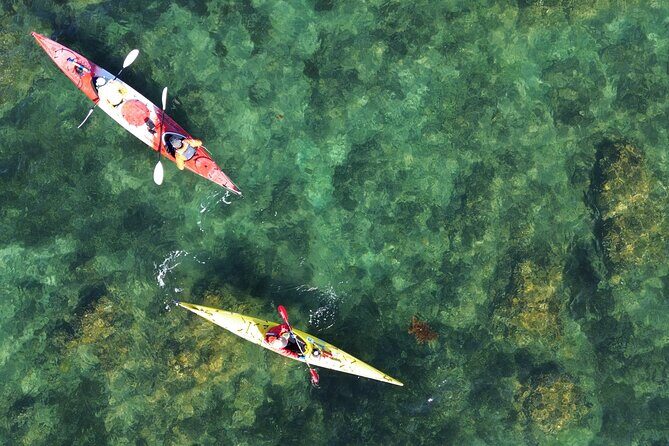 Tiritiri Matangi Sea Kayak Tour - The Sum Up