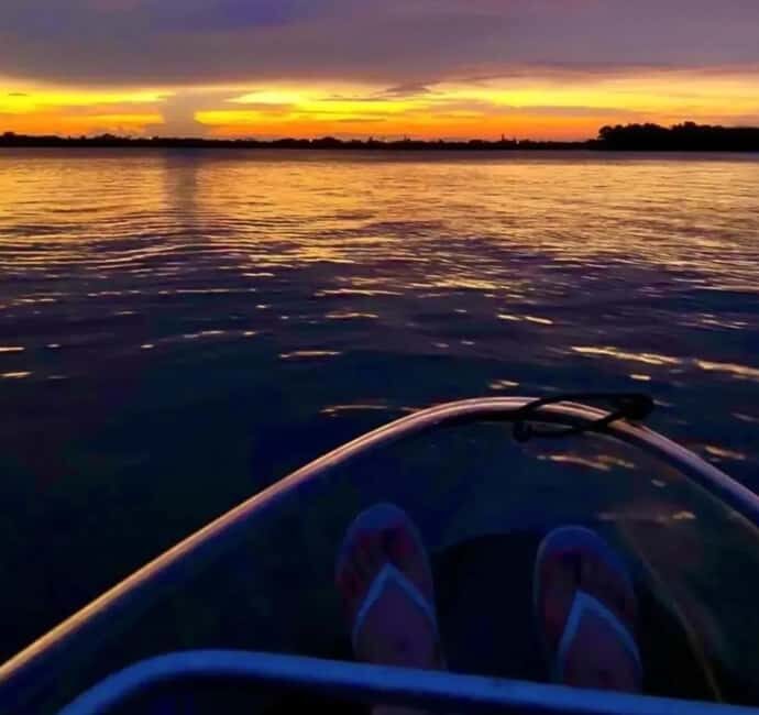 Titusville: Bioluminescent Clear Kayak Tour - An In-Depth Look at the Experience