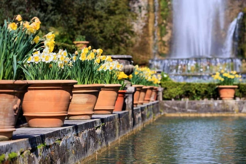 Tivoli: Villa D'Este Entry Ticket with Audio Guide App - Authentic Visitor Insights and Tips