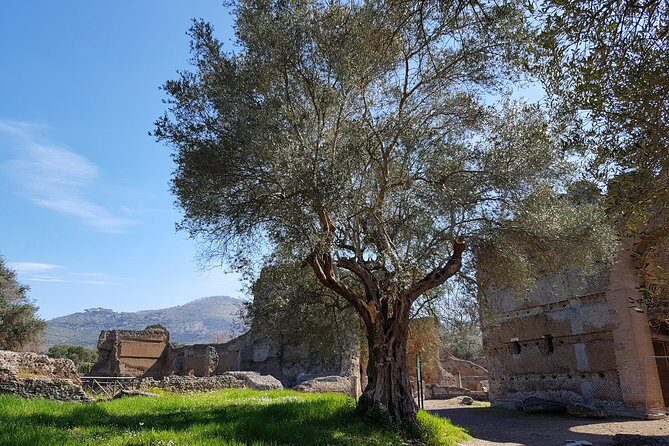 Tivoli Villas Full Day Trip From Rome with Lunch - The Sum Up