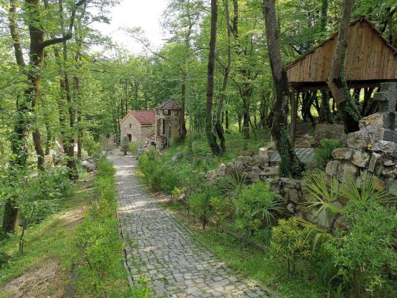 Tkibuli Day Trip with Wine & Tea Tasting from Kutaisi - An In-Depth Look at the Tkibuli Day Trip