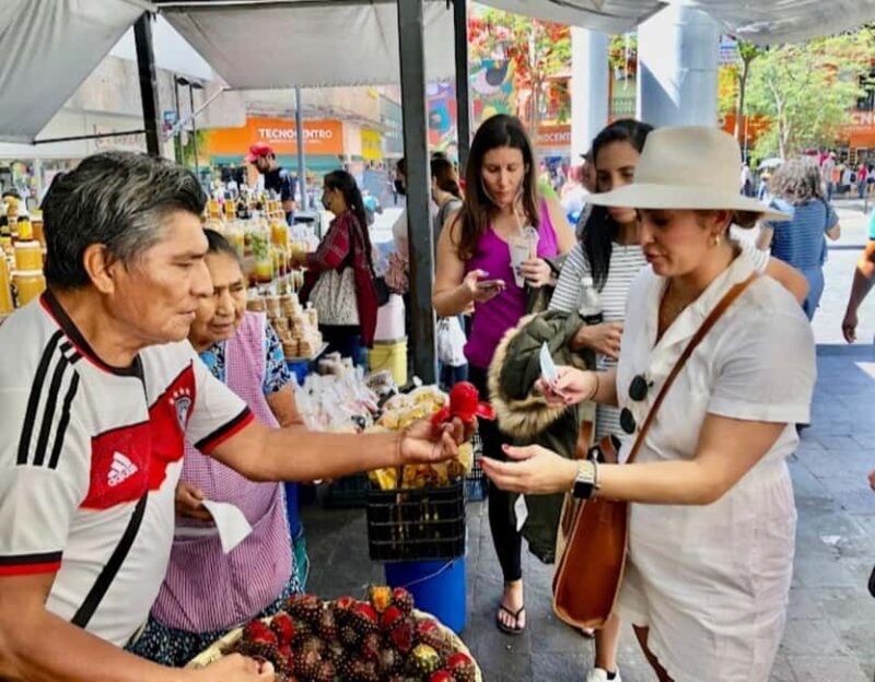 Tlaquepaque and Tonala Private Full-Day Tour - An Introduction to the Tour Experience