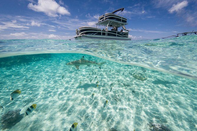 Toa Boat Bora Bora Private Lagoon tour On Ambassador Boat - FAQ
