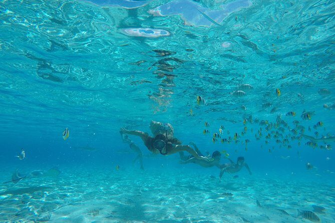 Toa Boat Bora Bora Private Lagoon Tour On Entertainer Bar Boat - The Itinerary: What You Can Expect