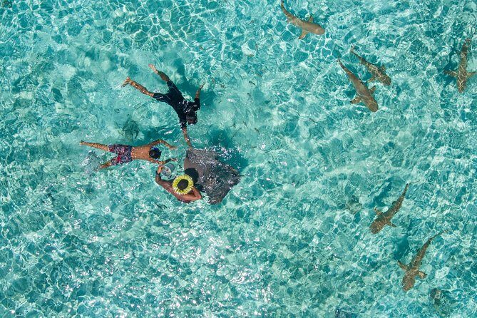 Toa Boat Bora Bora Private Lagoon tour On Majestic Pontoon Boat - Key Points