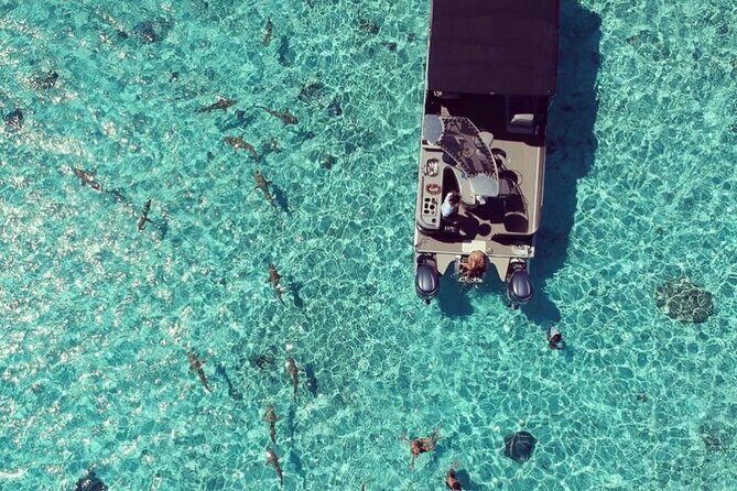 Toa Boat Bora Bora Private Lagoon tour with Lunch on Entertainer Bar Boat - The Sum Up: Is It Worth It?