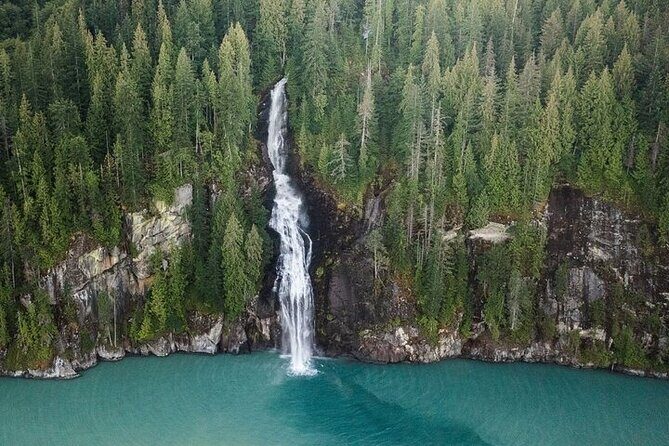 Toba Bears and Wilderness Grizzly Bear Viewing in Campbell River - Return to Campbell River and Final Wildlife Spotting