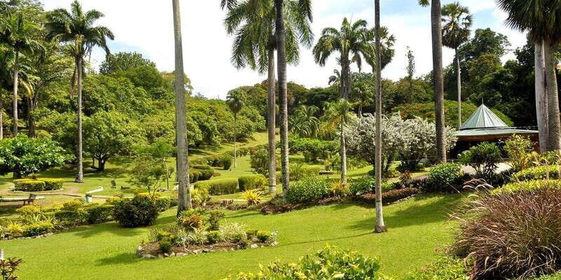 Tobago: Island Circle - Final Thoughts