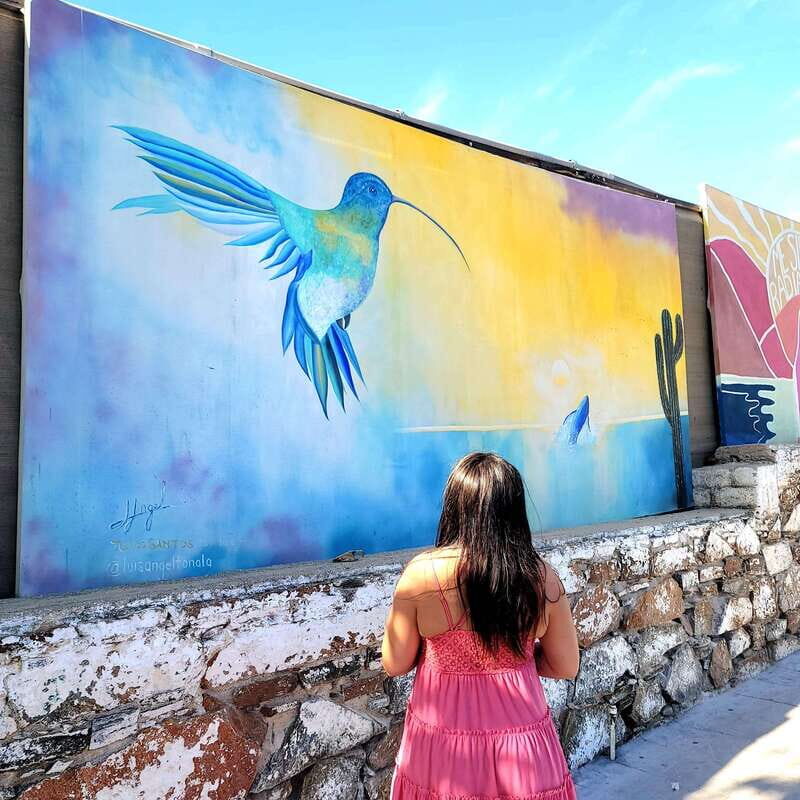 Todos Santos: Art & Culture Experience by Mexican Artist - Why This Tour Offers Real Value