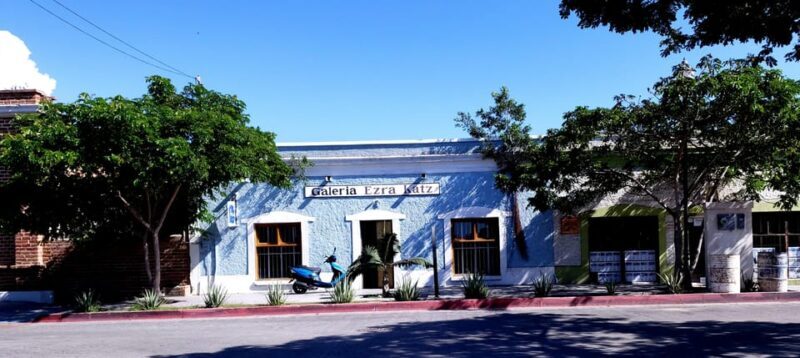 Todos Santos: Art & Culture Experience by Mexican Artist - FAQ