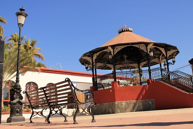 Todos Santos Day Trip from Cabo on Art History and Culinary - Who Should Consider This Tour?