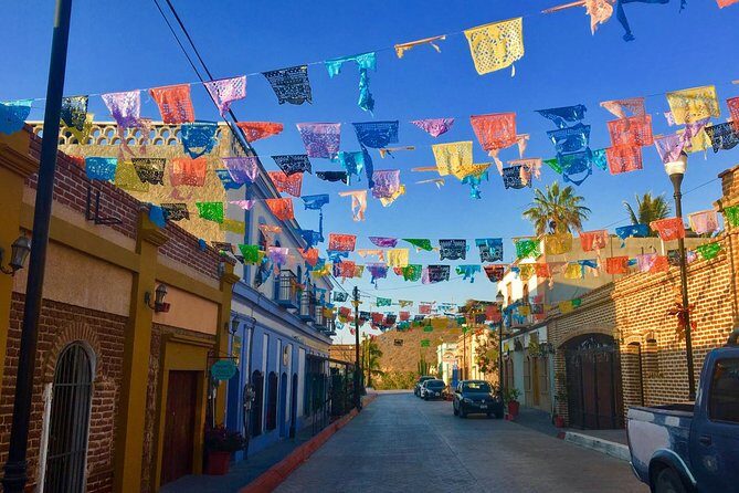 Todos Santos Day Trip from Cabo San Lucas - What Some Travelers Mention: Real Feedback