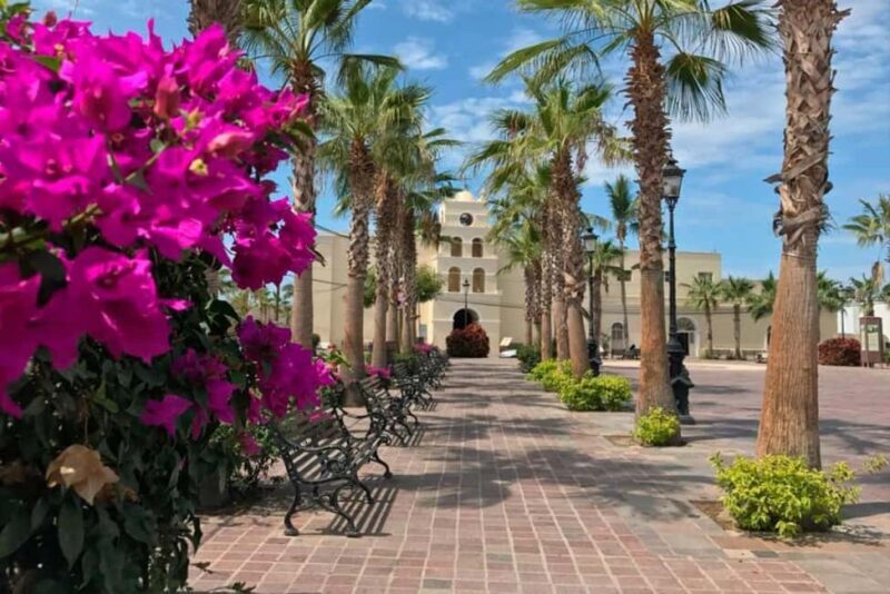 Todos Santos Encounter Tour - Exploring Baja’s Hidden Gems: What You Can Expect