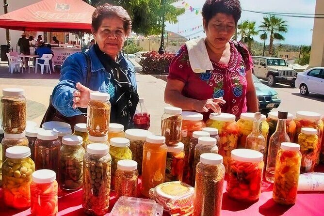 Todos Santos Magical Town Day-Trip - Who Will Enjoy This Tour?