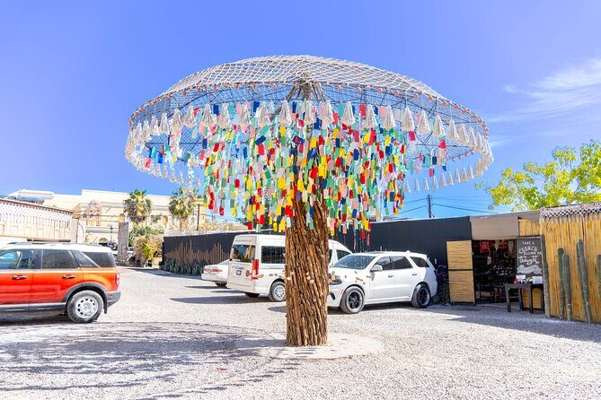 Todos Santos Tequila Tasting and Cultural Tour - The Sum Up: Who Will Love This Tour?