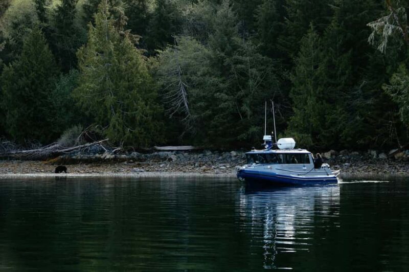 Tofino: Bear Watching Boat Tour with Nature Guide - FAQ