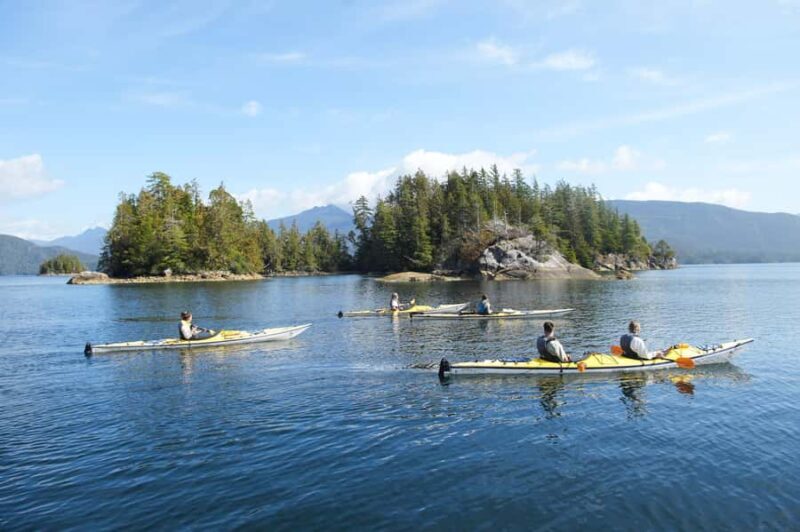 Tofino: Clayoquot Sound Kayak Tour with Boat Ride - Key Points