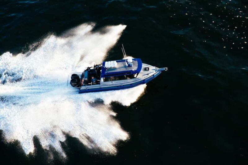 Tofino: Covered Boat Winter Wildlife Watching Tour - Who Should Book This Tour?