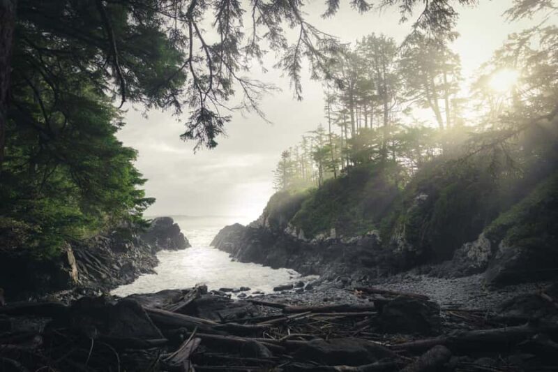Tofino: Hot Springs Cove Tour with Wildlife Cruise - Exploring the Tofino: Hot Springs Cove Tour with Wildlife Cruise