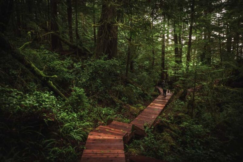 Tofino: Hot Springs Cove Tour with Wildlife Cruise - Final Thoughts: Who Will Love This Tour?