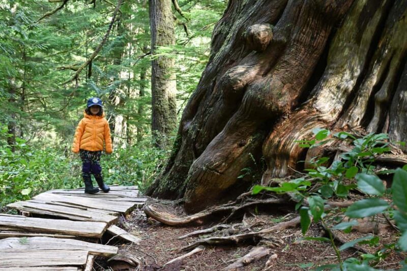 Tofino: Private Boat Tour with Big Tree Trail & Crabbing - Setting Off on Your West Coast Adventure