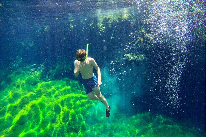 Toh Tours Adventures Cenotes Chemuyil - FAQs