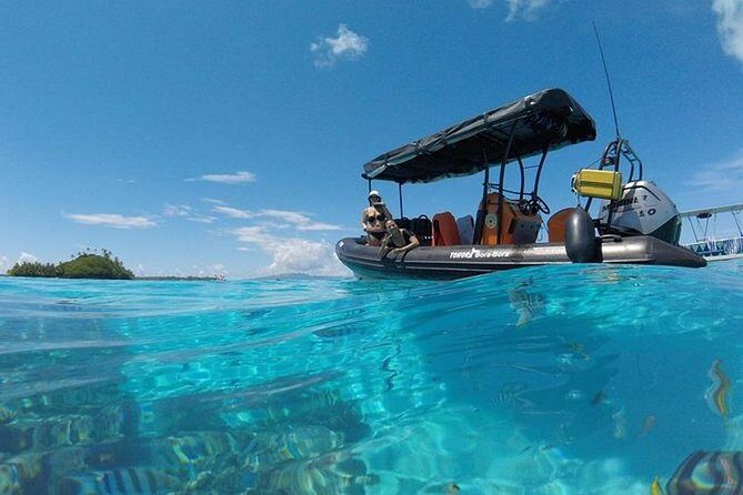 Tohora Bora Bora Snorkeling Lagoon Tours - An In-Depth Look at the Tour Experience