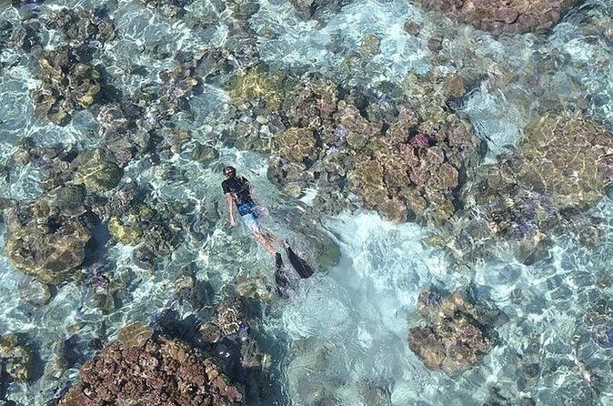 Tohora Bora Bora Snorkeling Lagoon Tours - The Sum Up: Is This the Right Tour for You?