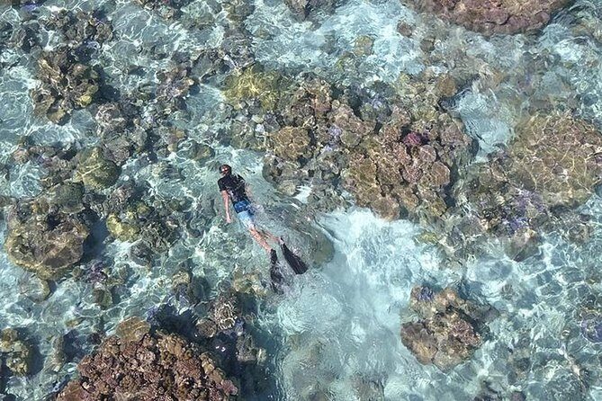 Tohora Bora Bora Snorkeling Lagoon Tours - FAQs