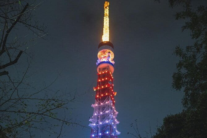 Tokyo 2-Day Private Walking Tour with Licensed Guide - Value and Practicalities