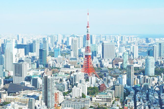 Tokyo 6 hours Customized Private Tour - FAQ