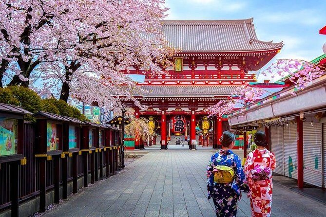 Tokyo Airport Transfers: Tokyo-Narita Airport NRT to Tokyo City in Business Car - Final Thoughts