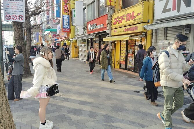 Tokyo: Akihabara Otaku Tour - 1.5h Guided Shopping - Exploring the Heart of Akihabara