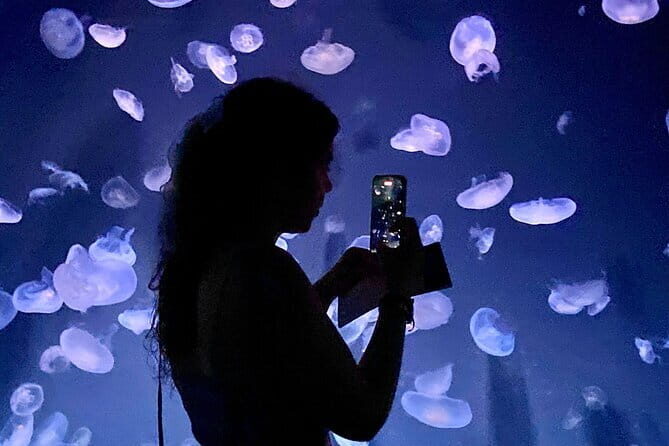 Tokyo, Aquarium Backyard Tour and View Observatory in Ikebukuro - Key Points