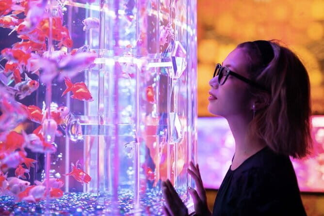 Tokyo Art Aquarium Museum E-Ticket with optional Tokyo Metro Pass - Exploring the Tokyo Art Aquarium Museum in Ginza: A Unique Blend of Tradition and Art