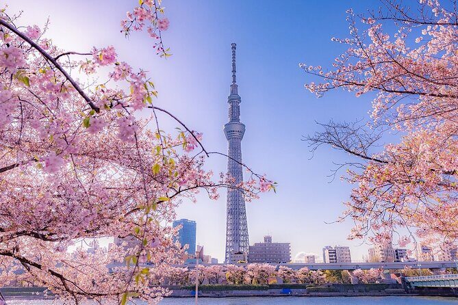 Tokyo Asakusa Half Day Walking Tour with Local Guide - Final Thoughts