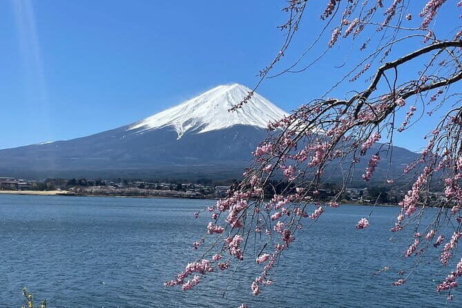 Tokyo: Asakusa & Senso-ji Temple 1.5-Hour Guided Tour - FAQs