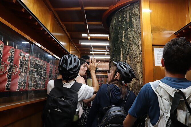 Tokyo Bay Sunset and Night View for 3h E-bike Guided Tour - Final Thoughts