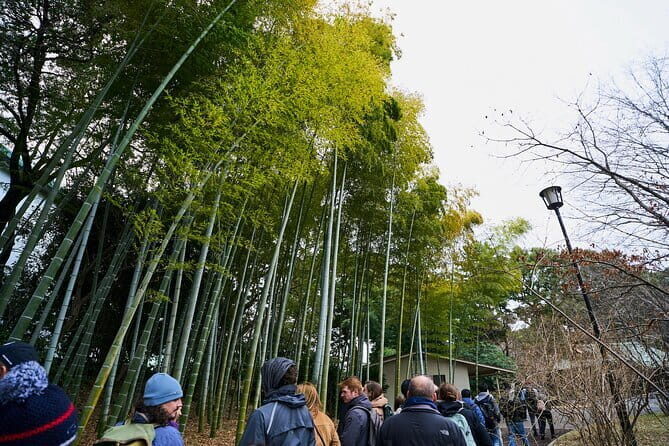 Tokyo Castle & Imperial Palace , Historical Walking Tour - What the Reviews Say: Authentic Perspectives
