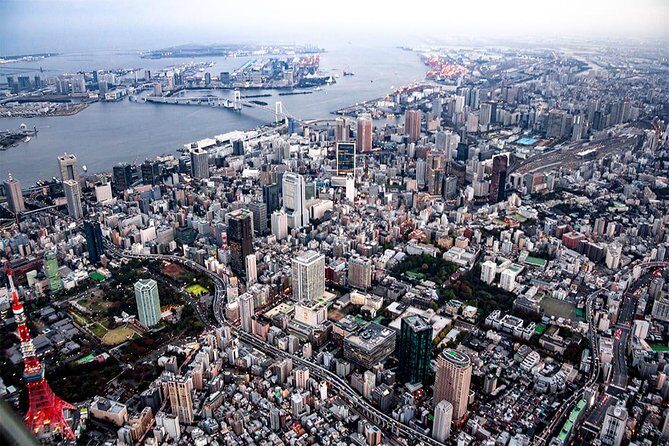 Tokyo Central Tour30 mins Asakusa/Tokyo Skytree/Shinjuku - The Practicalities: Booking, Cost, and Considerations