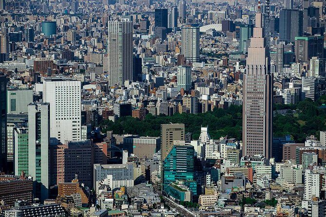 Tokyo Central Tour30 mins Asakusa/Tokyo Skytree/Shinjuku - Authentic Insights from Reviewers
