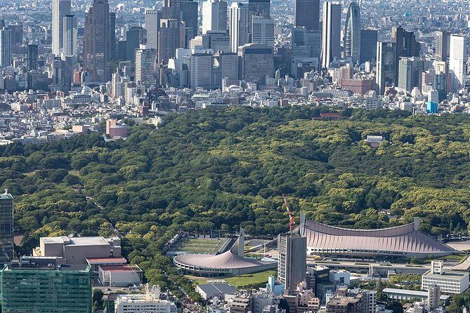 Tokyo Central Tour30 mins Asakusa/Tokyo Skytree/Shinjuku - The Sum Up: Who Should Consider This Tour?