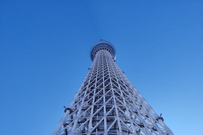 Tokyo Cherry Blossom Half Day Walking Tour with a Local Guide - Who Should Book This Tour?