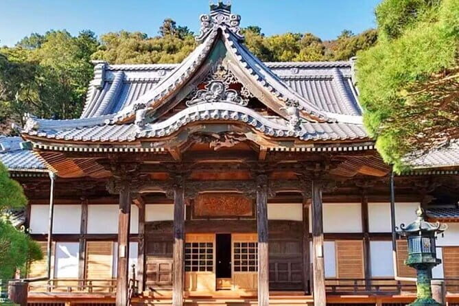 Tokyo Cherry Blossom, Hot Spring, and Strawberry Picking Tour - Practical Details and Value
