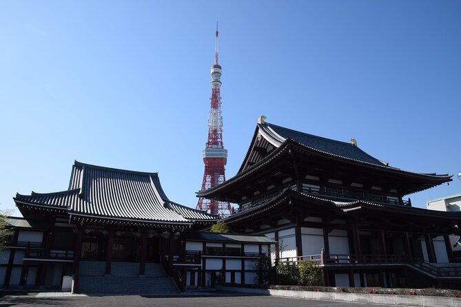 Tokyo City 1-Day Private Tour with Bilingual Driver - Trendy Harajuku, Shibuya, and Ebisu