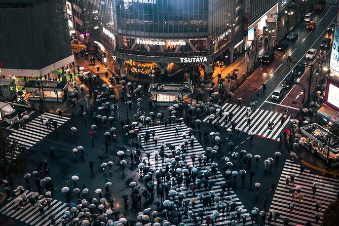 Tokyo City 1-Day Private Tour with Bilingual Driver - Who Should Book?