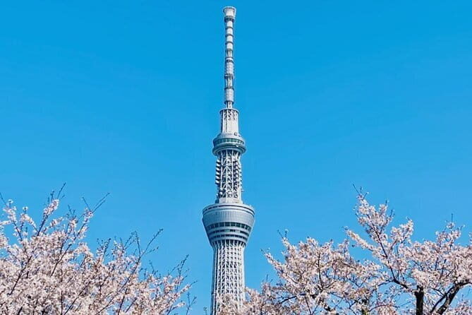 Tokyo City Customized Private Day Tour - An In-Depth Look at the Tour Itinerary