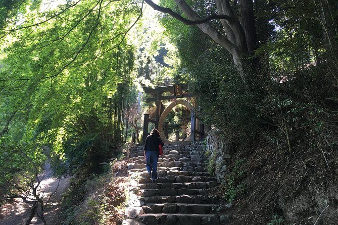 Tokyo Countryside Exploration Private Tour - Final Thoughts